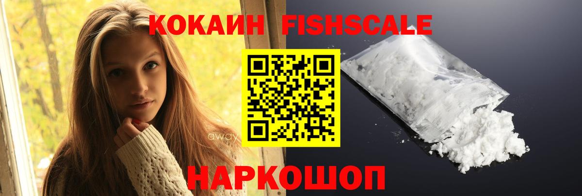 Cocaine FishScale  Вход с VPN  Новокубанск 