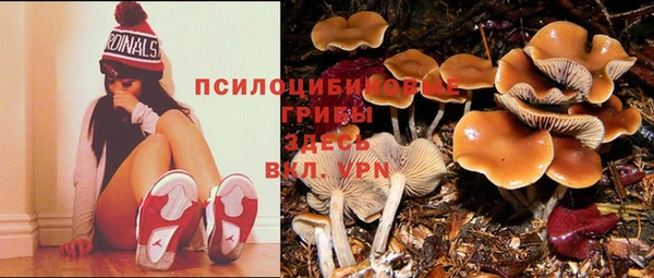 эйфоретик Абдулино