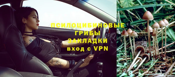 гидра Алзамай