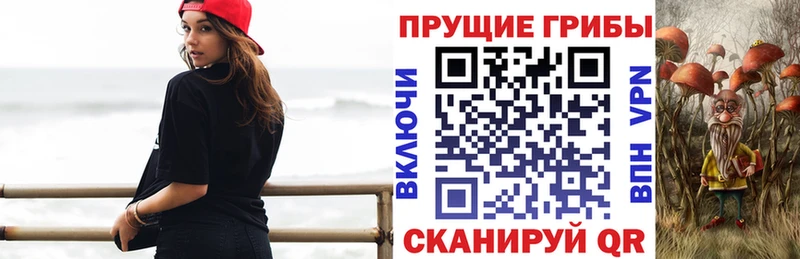 как найти закладки  Новокубанск  Псилоцибиновые грибы ЛСД 