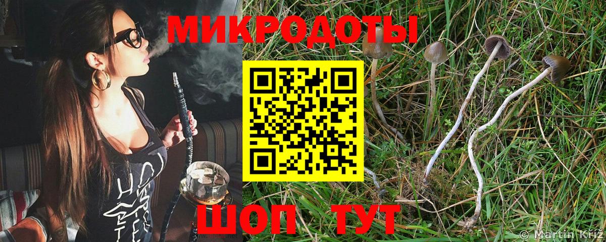 Новокубанск  Псилоцибиновые грибы ЛСД  Вход с VPN  Галлюциногенные грибы Cubensis 