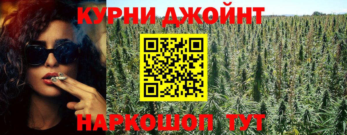 Каннабис гибрид Новокубанск